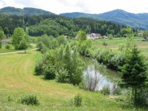 Dreta at Nazarje, a few hundreds of meters before confluence with river Savinja